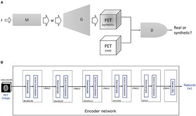 Generative AI unlocks PET insights: brain amyloid dynamics and quantification
